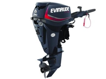 2018 Evinrude E-TEC 30 HP E30DRG Outboard Motor