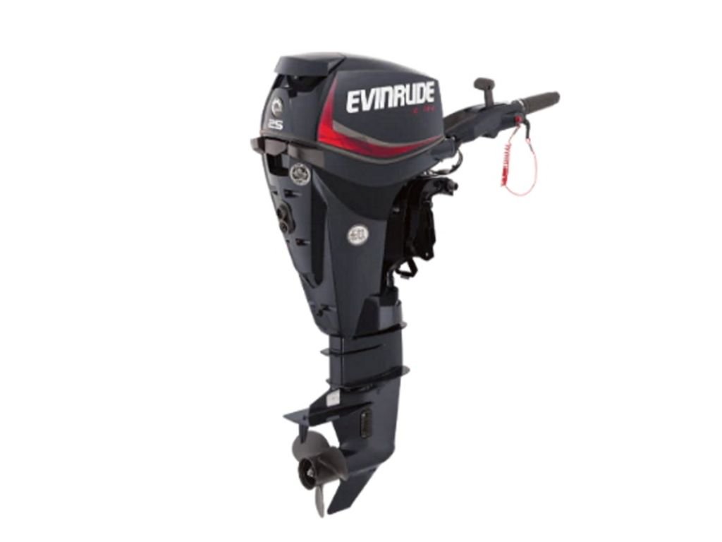 Evinrude-E25DPSL.jpg